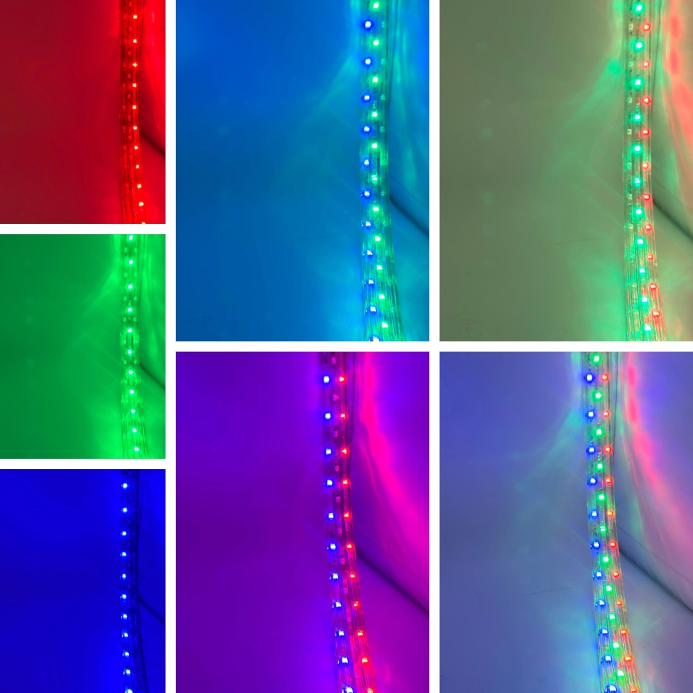 Rebaydo Flat LED RGB Flexible Rope Light Common Anode 12 Volt DC NCNRNW