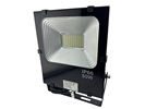 Rebaydo 50 Watt LED Flood Light 12V to 24V AC