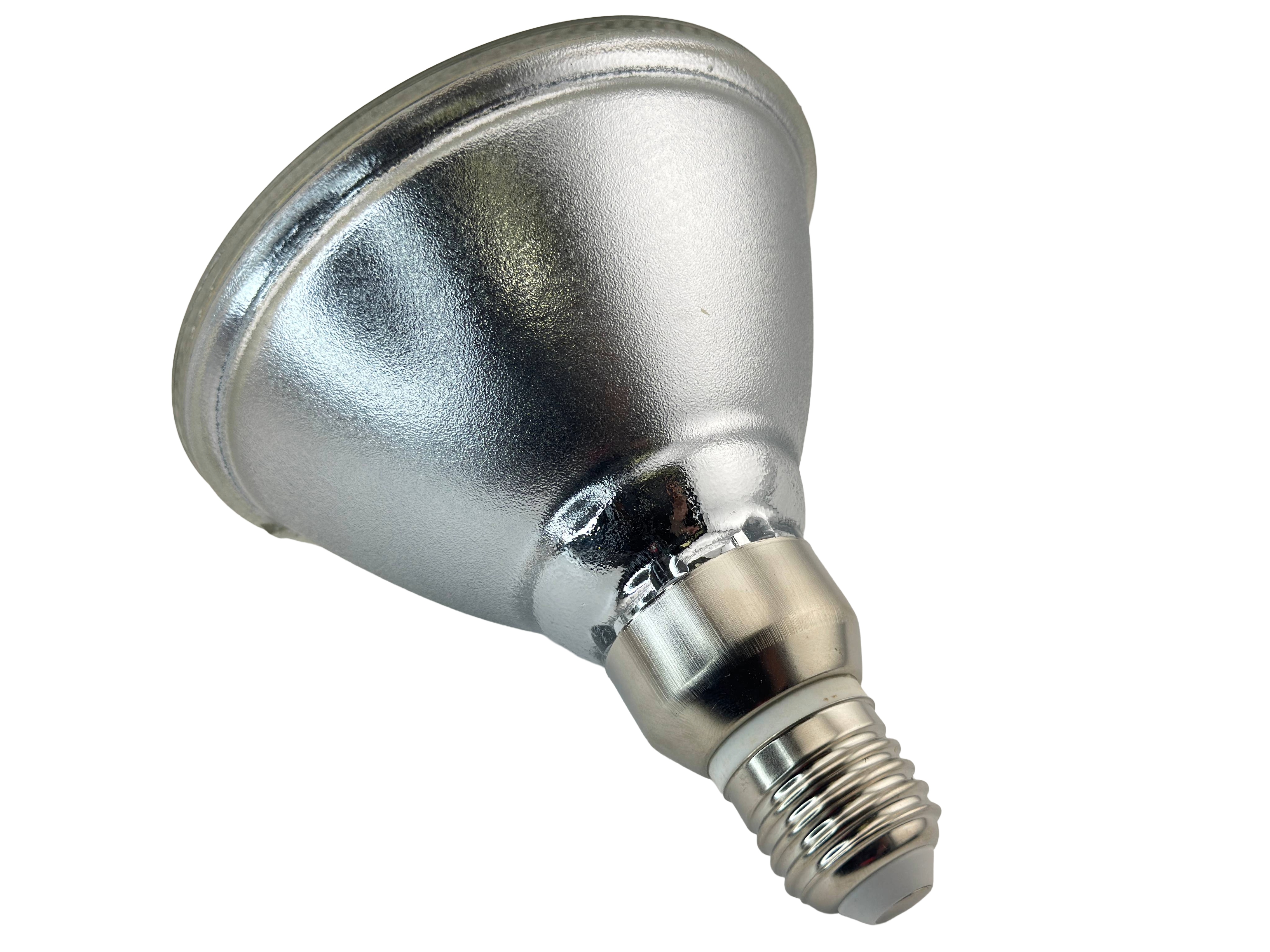 Rebaydo PAR38 6 Watt LED Bulb Diffused 12 Volt AC/DC 30 Degree NCNRNW