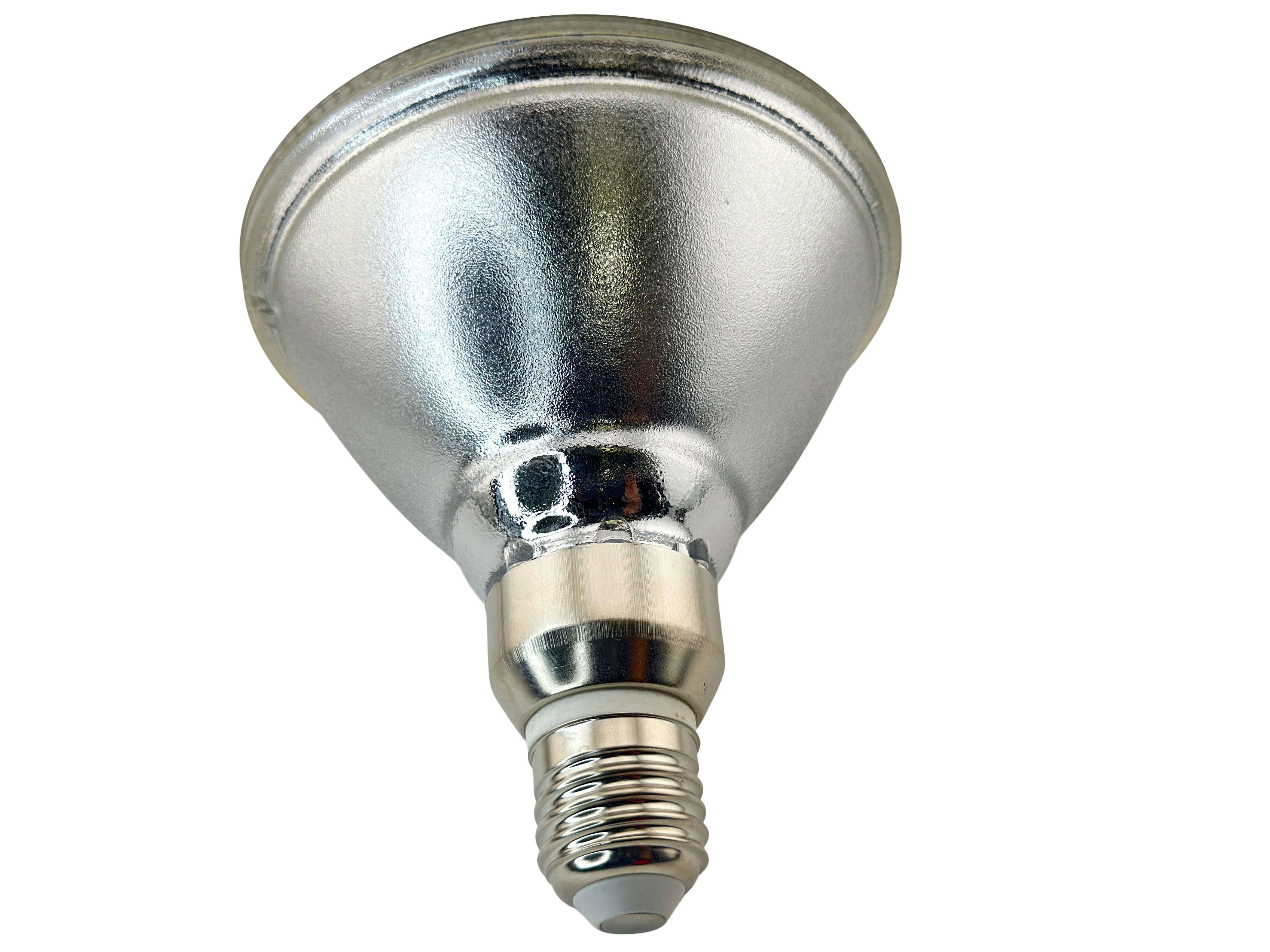 Rebaydo PAR38 6 Watt LED Bulb Diffused 12 Volt AC/DC 30 Degree NCNRNW