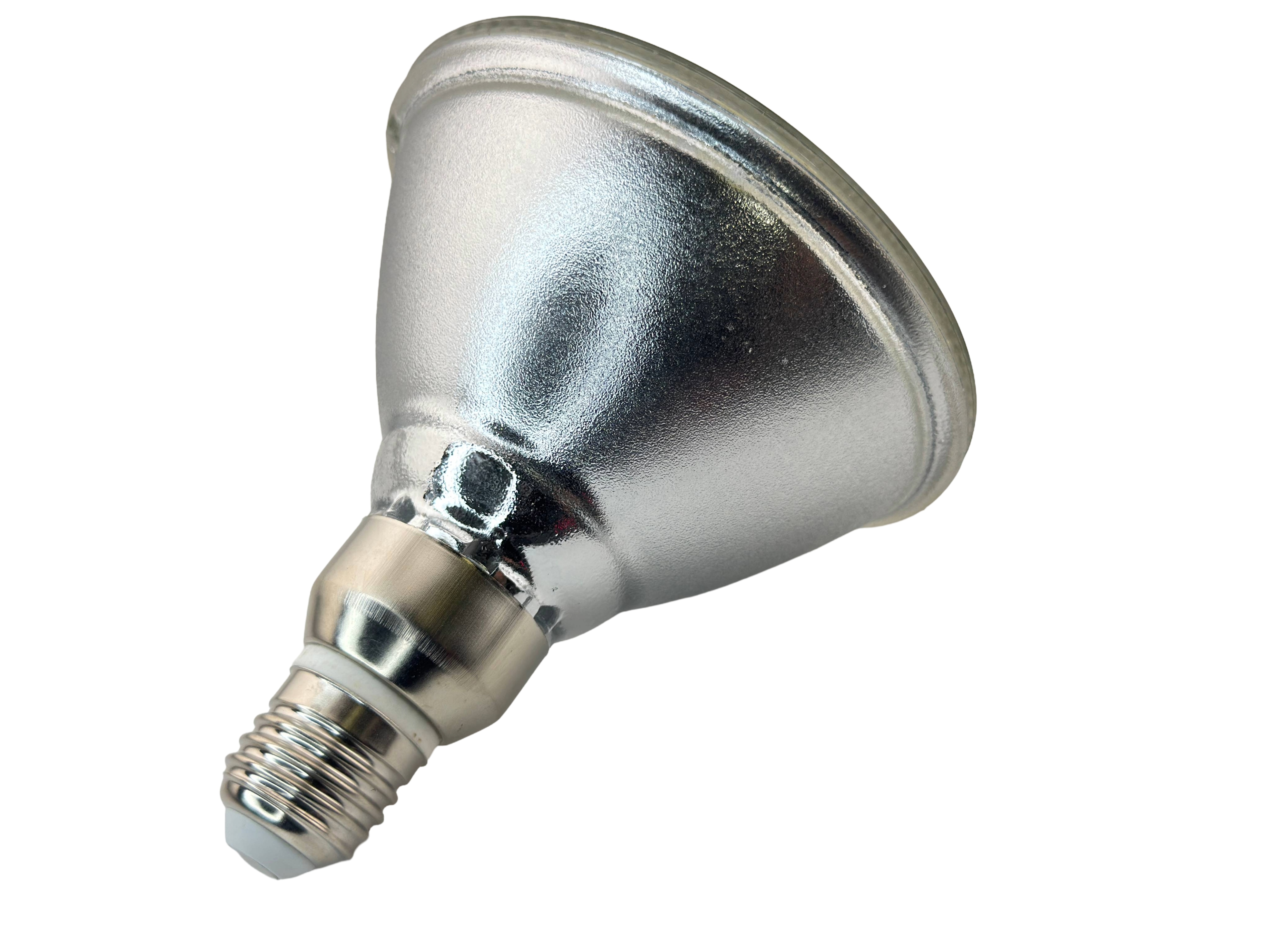 Rebaydo PAR38 6 Watt LED Bulb Diffused 12 Volt AC/DC 30 Degree NCNRNW