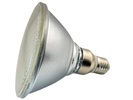 Rebaydo PAR38 6 Watt LED Bulb Diffused 12 Volt AC/DC 30 Degree NCNRNW