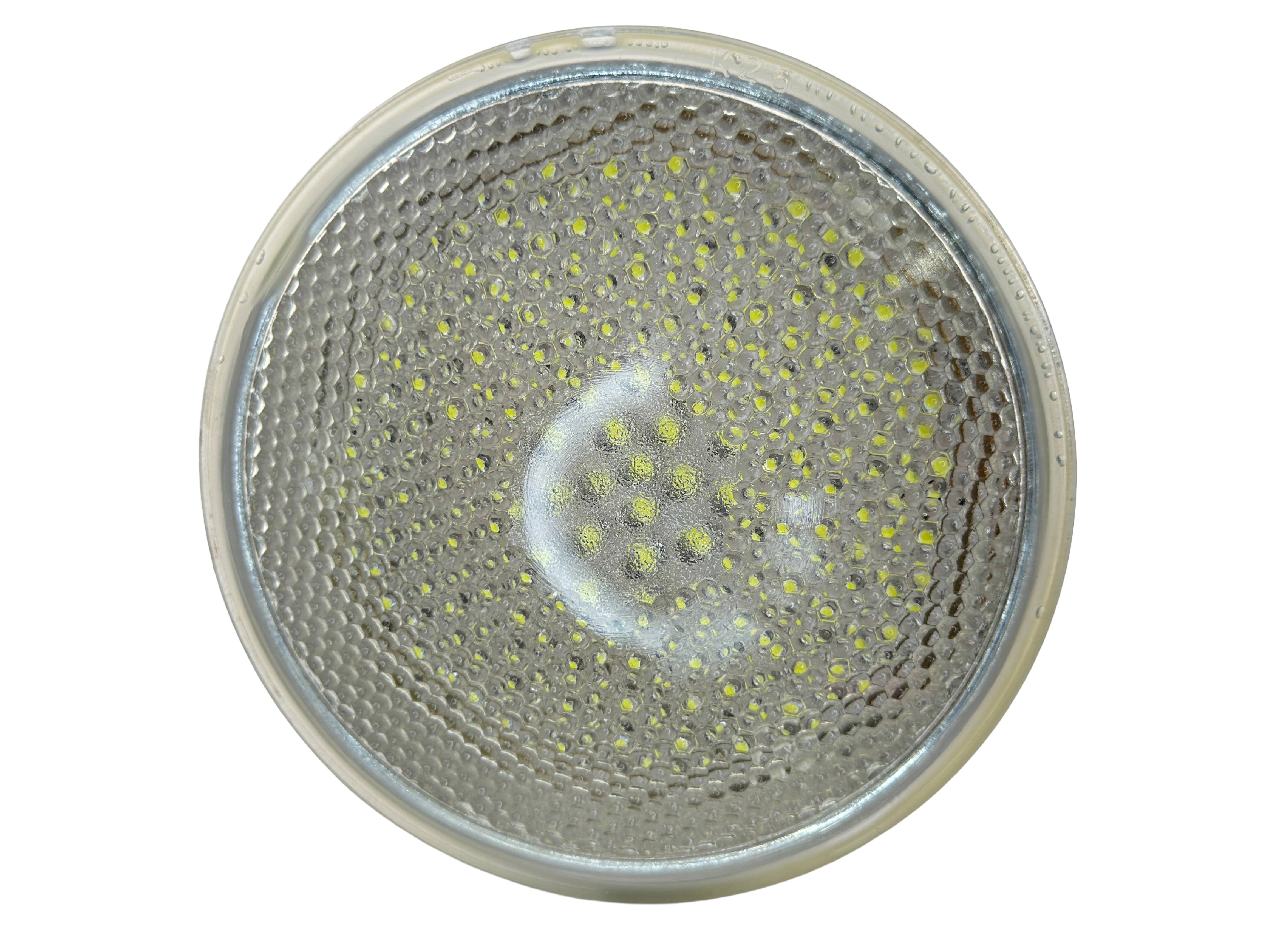 Rebaydo PAR38 6 Watt LED Bulb Diffused 12 Volt AC/DC 30 Degree NCNRNW