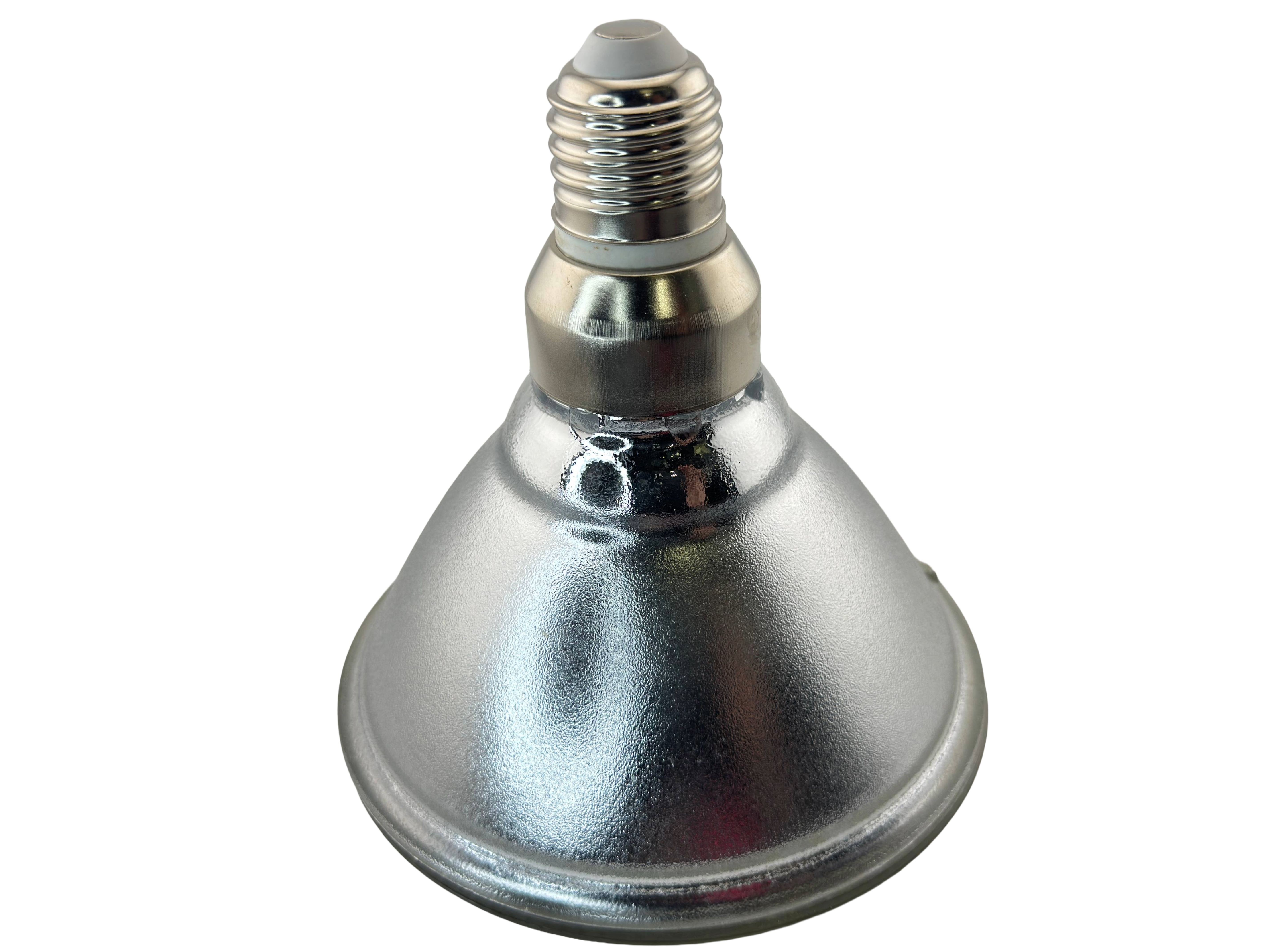 Rebaydo PAR38 6 Watt LED Bulb Diffused 12 Volt AC/DC 30 Degree NCNRNW
