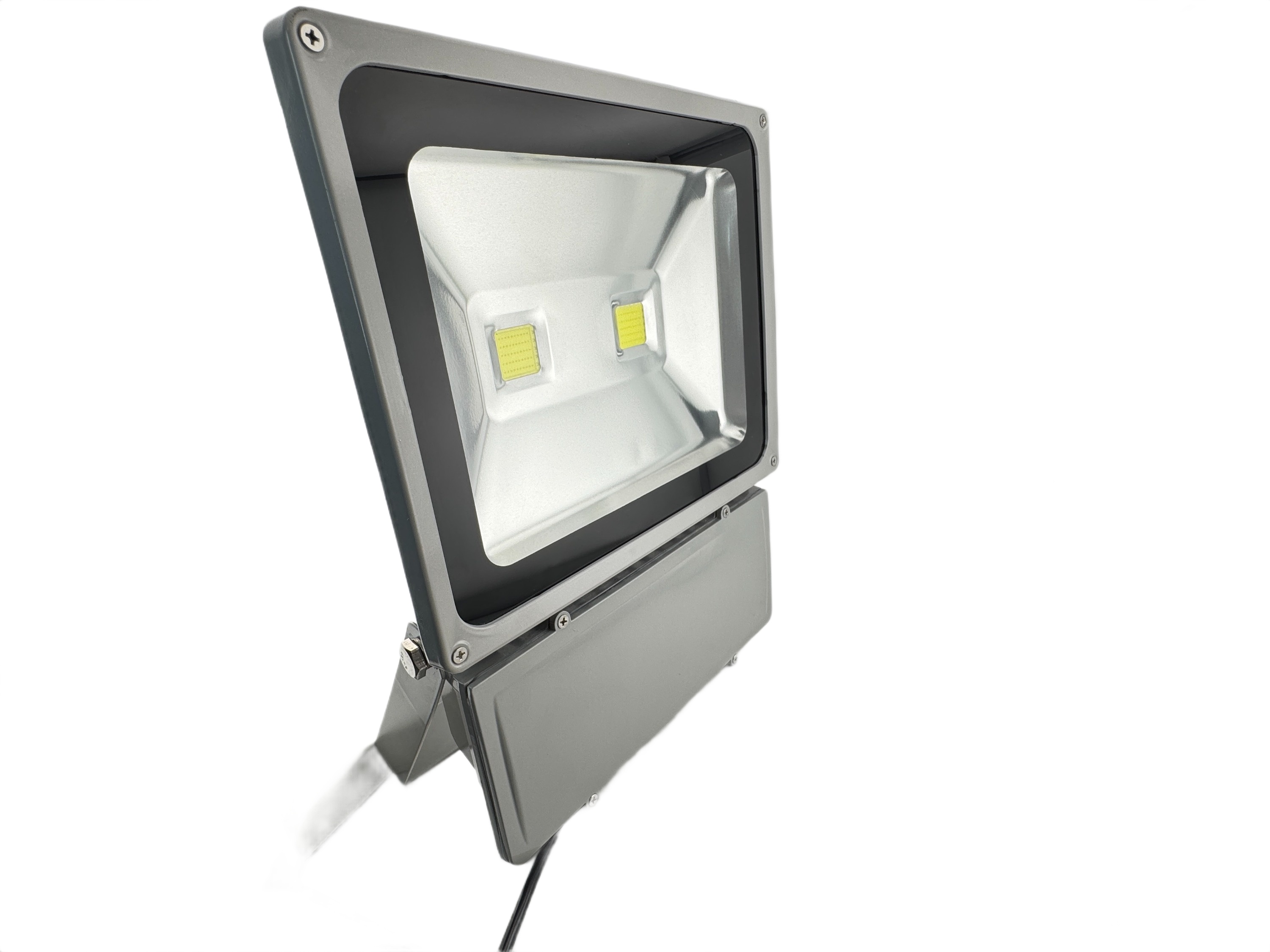 Rebaydo Flood Outdoor 100 Watt LED 86-265 VAC